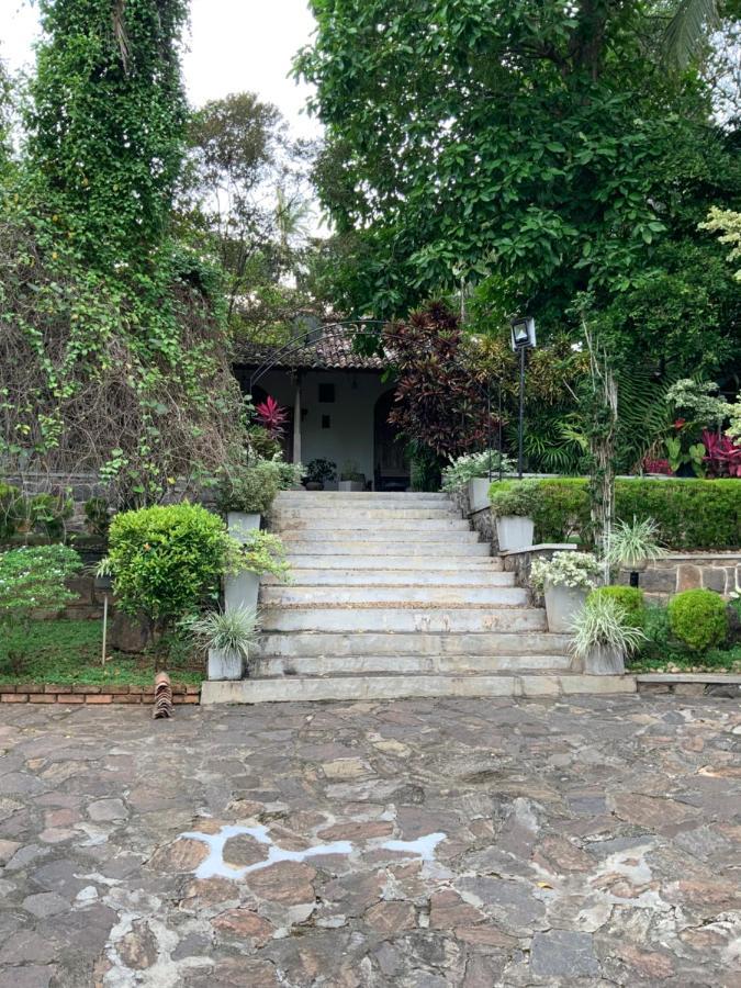 Lali Villa & Fruit Garden Гале Екстериор снимка