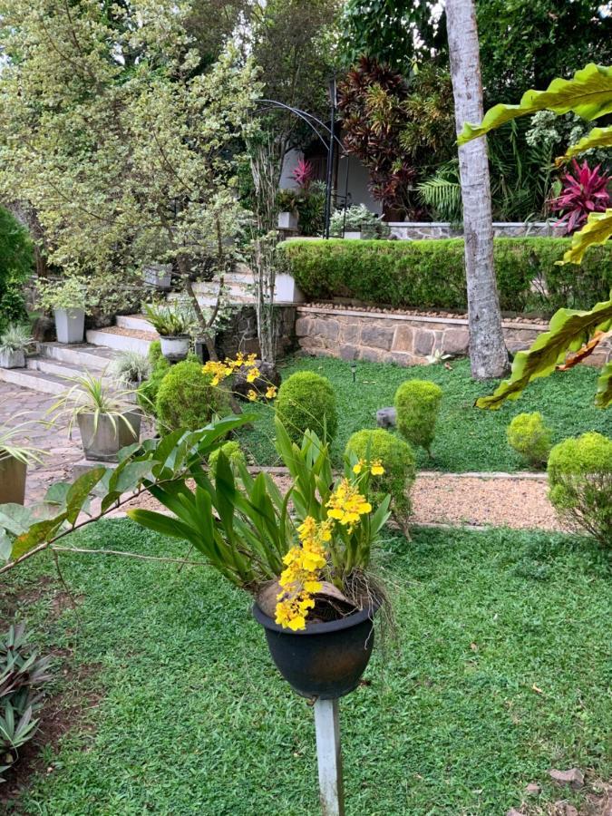 Lali Villa & Fruit Garden Гале Екстериор снимка