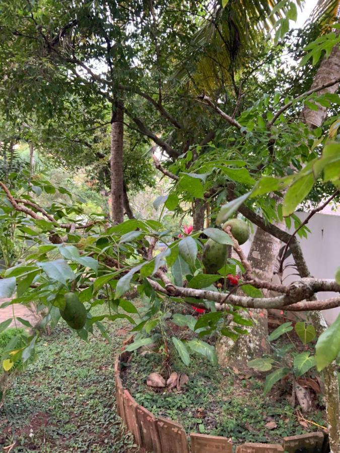 Lali Villa & Fruit Garden Гале Екстериор снимка