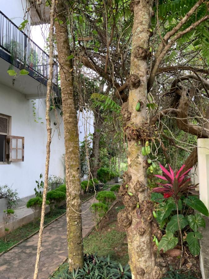 Lali Villa & Fruit Garden Гале Екстериор снимка