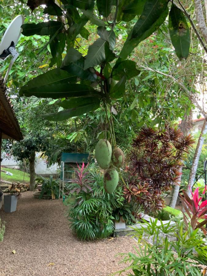 Lali Villa & Fruit Garden Гале Екстериор снимка